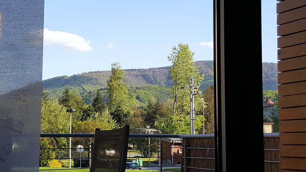 Apartament Zeta Park Deluxe Ustron